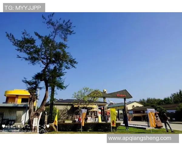 深度对话吴伟网球人生的起伏与坚持背后的故事探讨 深度对话吴伟网球人生的起伏与坚持背后的故事探讨