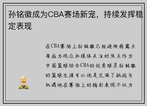 孙铭徽成为CBA赛场新宠，持续发挥稳定表现
